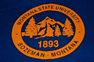 Montana State University Bozeman Wool Letter Stadium Blanket Throw 62x84 Vtg MSU 2