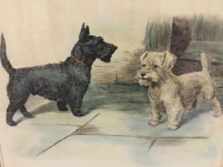 Framed Vintage Hand Colored Etching Dog Print,  Scotties By Harry Dixon