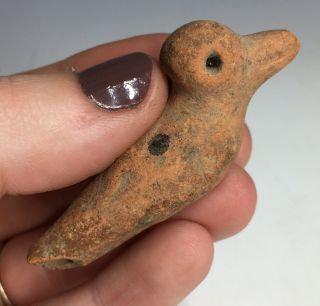 Pre - Columbian Colima Bird Effigy Whistle Red Terracotta Pottery Tool Instrument