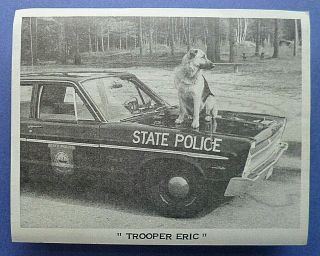 Vintage 4  X5  Photo Of  Trooper Eric  German Sheperd Dog W/ Nh State Police