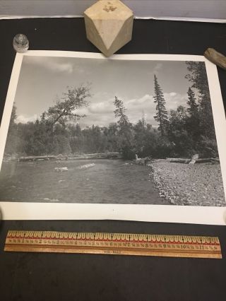 1950’s Vintage Black & White Photo Of Alaska Stream Bunkhouse Horses Ranch