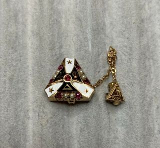 Delta Sigma Phi Fraternity Pin With Pearls And Rubies 2