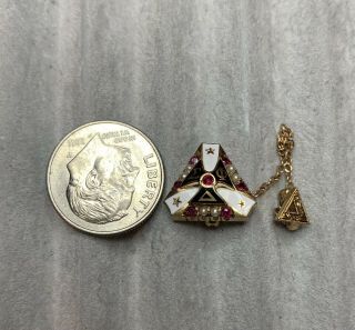 Delta Sigma Phi Fraternity Pin With Pearls And Rubies 3