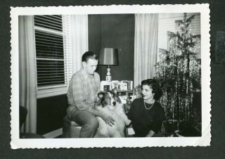 Vintage Photo Man Pretty Girl W/ Pet Collie Dog & Christmas Tree Tinsel 422023