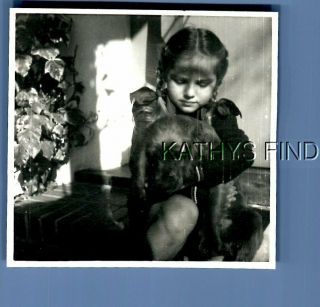 Found B&w Photo H,  6173 Little Girl Sitting On Porch Holding Cat