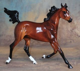 Peter Stone Model Horse Stone Dah Dappled Red Bay Arab Arabian Yearling Glossy