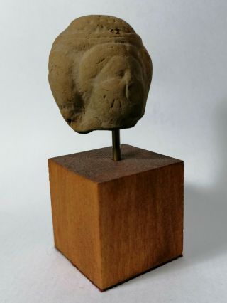 Shabtishop: A Roman - Egyptian Terracotta Head Of A Lady - 2000 Years Old