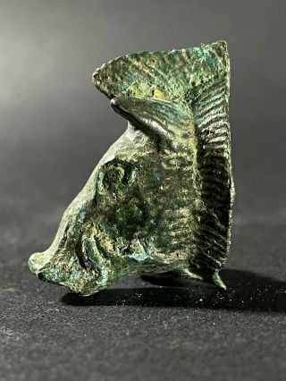 Detector Finds Ancient Celtic Bronze Boar Head Mount Circa 100bc - 100ad Rare