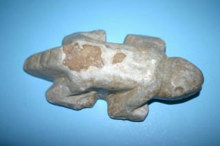 Ancient Pre - Columbian Stone Animal Effigy Lizard Alligator? 3.  9 Lbs 10.  5 " Long