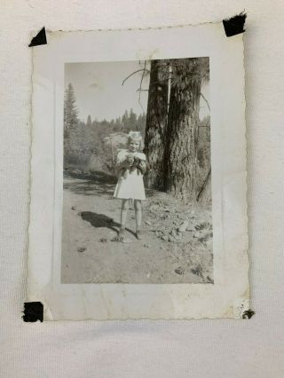 Vintage Photograph Little Girl In Cute Dress Holds Puppy Dog 1940 