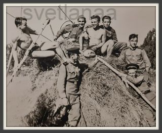 Hay Army Affectionate Soldiers Handsome Shirtless Men Muscle Gay Vintage Photo