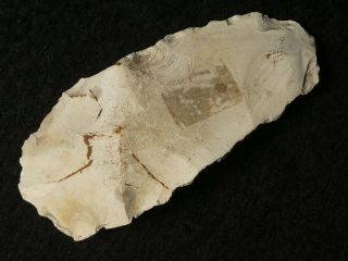 8500y.  O: Wonderful Ax Adze 82mms Danish Stone Age Mesolithic Flint Maglemose C