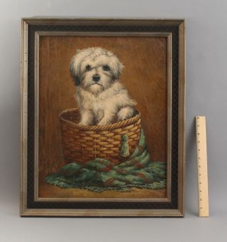 19thc Antique Folk Art Lhasa Apso Puppy Dog In Basket Portrait Oil Painting Nr