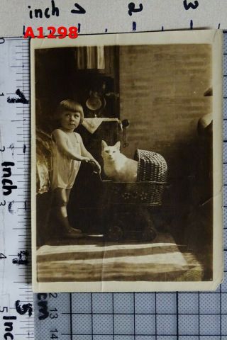 1930s Vintage Photo Cute Little Boy W Cat