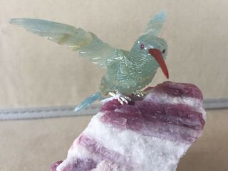 Blue Calcite Hummingbird on Tourmaline in Albite 5  - Peter Muller 3