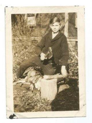 Unusual Odd Vintage Photo Boy Holding Ax Axe Over Dog Creepy Wood Tree Limb