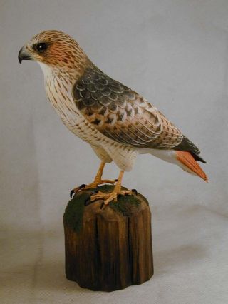6.  5 Inch Red - Tailed Hawk Wood Carving