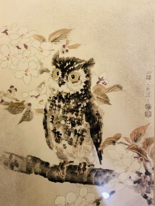 Eiichi Kotozuka Vintage (1950) Framed Japanese Color Woodblock Print Of Owl