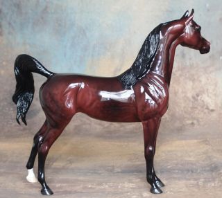 Peter Stone Model Horse MIRAGE - Dappled Bay Arab Arabian MARE Glossy 2