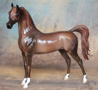 Peter Stone Model Horse Maple Gelato - Extreme Mare Arab Arabian Glossy