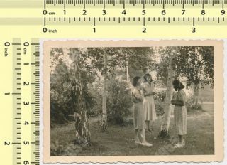 Three Women In Forest Ladies Females Abstract Portrait Vintage Photo