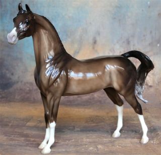 Peter Stone Model Horse Charming - Dappled Bay Arab Arabian Glossy