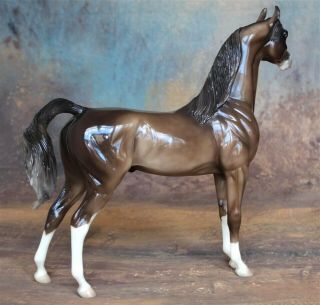Peter Stone Model Horse CHARMING - Dappled Bay Arab Arabian Glossy 2