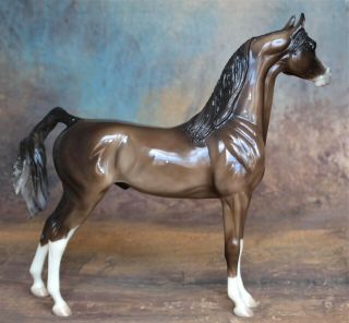 Peter Stone Model Horse CHARMING - Dappled Bay Arab Arabian Glossy 4