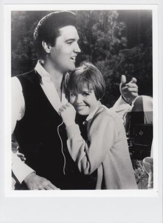 Spinout Elvis Presley 8x10 Movie Photo Print With Deborah Walley