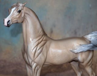 Peter Stone Model Horse Ooak Condor - Mold Pinned Ear Arab Arabian Glossy