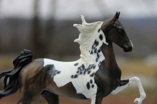 Cm Breyer Asb Model Toy Horse Figure