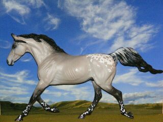 Ooak Breyer Cm Custom Horse To A Grulla Appaloosa By D.  Williams Wow