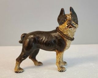 Rare Small Size Hubley Boston Terrier Dog 5 1/4 " Tall Painted Cast Iron