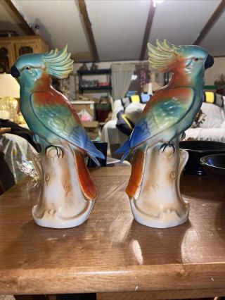 Vintage Cockatoo Parrot Bird Figurine Pair Hand Painted Made In Germany Old