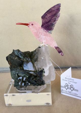 Rose Quartz/fluorite Hummingbird On Tourmaline/quartz 5 " - Peter Muller