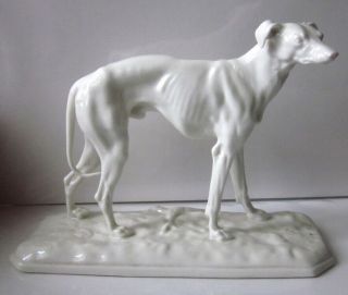 Royal Nymphenburg White Porcelain Greyhound Dog Figurine Signed Pj Mene