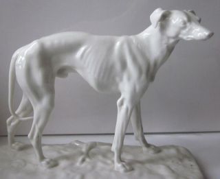 Royal Nymphenburg white porcelain Greyhound Dog figurine signed PJ MENE 2