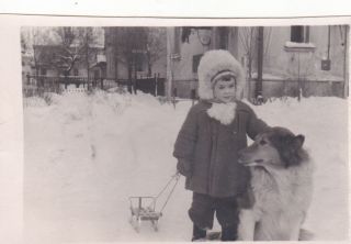 1950s Cute Little Girl With Collie Dog And Sledges Winter Soviet Russian Photo