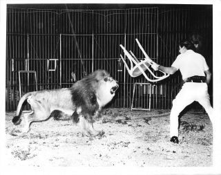 Vintage Dave Hoover Lion Tamer Trainer Circus Clyde Beatty Cole Bros 10x8 Photo