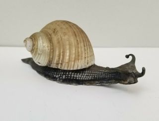 Vintage Antique Metal Wmf Ox Silver Plate Snail Real Shell Figurine Paperweight