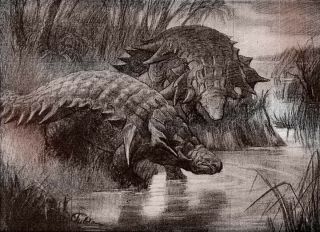 Dinosaur fossil - Ankylosaur vertebrae - Cretaceous from Montana 5