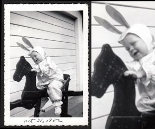 Christmas Story Bunny Costume Baby Boy On Hobby Horse Toy 1952 Vintage Photo
