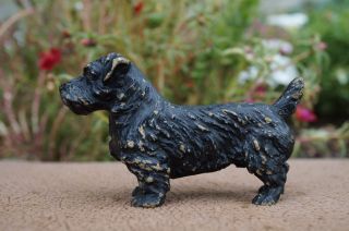 Vtg Cold Painted Bronze Metal Sealyham Terrier Dog Austria Glen Of Amaal