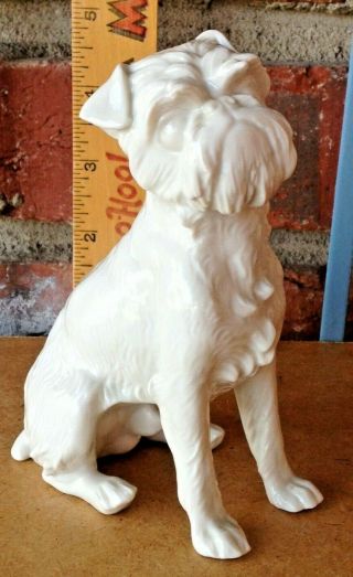 Vintage Nymphenburg Germany Porcelain Affenpinscher Or Brussels Griffon Dog