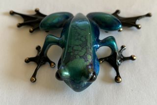Show Frog Of Aurora Bronze Frog By The Frogman Tim Cotterill