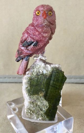 Ruby Owl On Tourmaline Crystal 4 1/4 " - Peter Muller