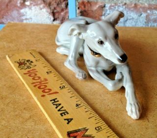 Vintage Nymphenburg Whippet Or Greyhound Type Dog Lying In Repose