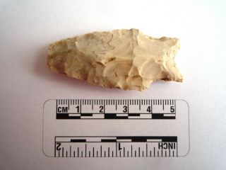 Native American Arrowhead 56mm,  Archaic Artifact,  1000bc - 8000bc (2305)