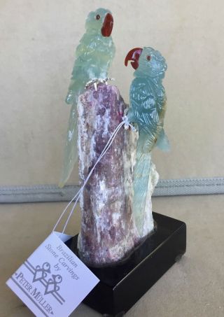 Blue Calcite Macaw Pair On Tourmaline 5  - Peter Muller