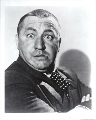 Curly From The 3 Stooges Classic Photo 8x10 B.  W.  Buy 3 Photos And Get 1.